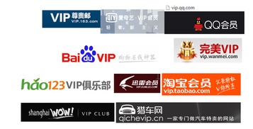 VIP域名热潮再起 18项应用数据揭示其市场潜力与咨询服务价值