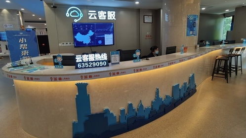 专业视角下的咨询服务 价值与应用指南